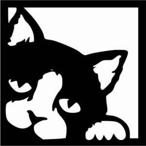 Cat-4