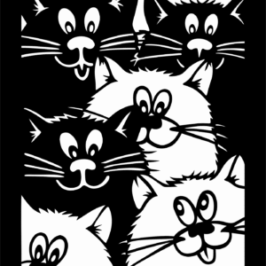Cat-5