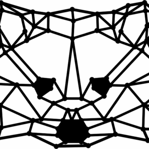 Raccon