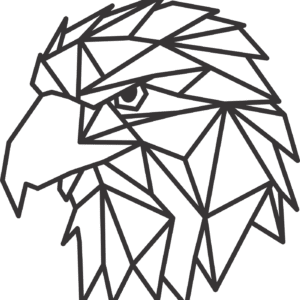 Eagle Face